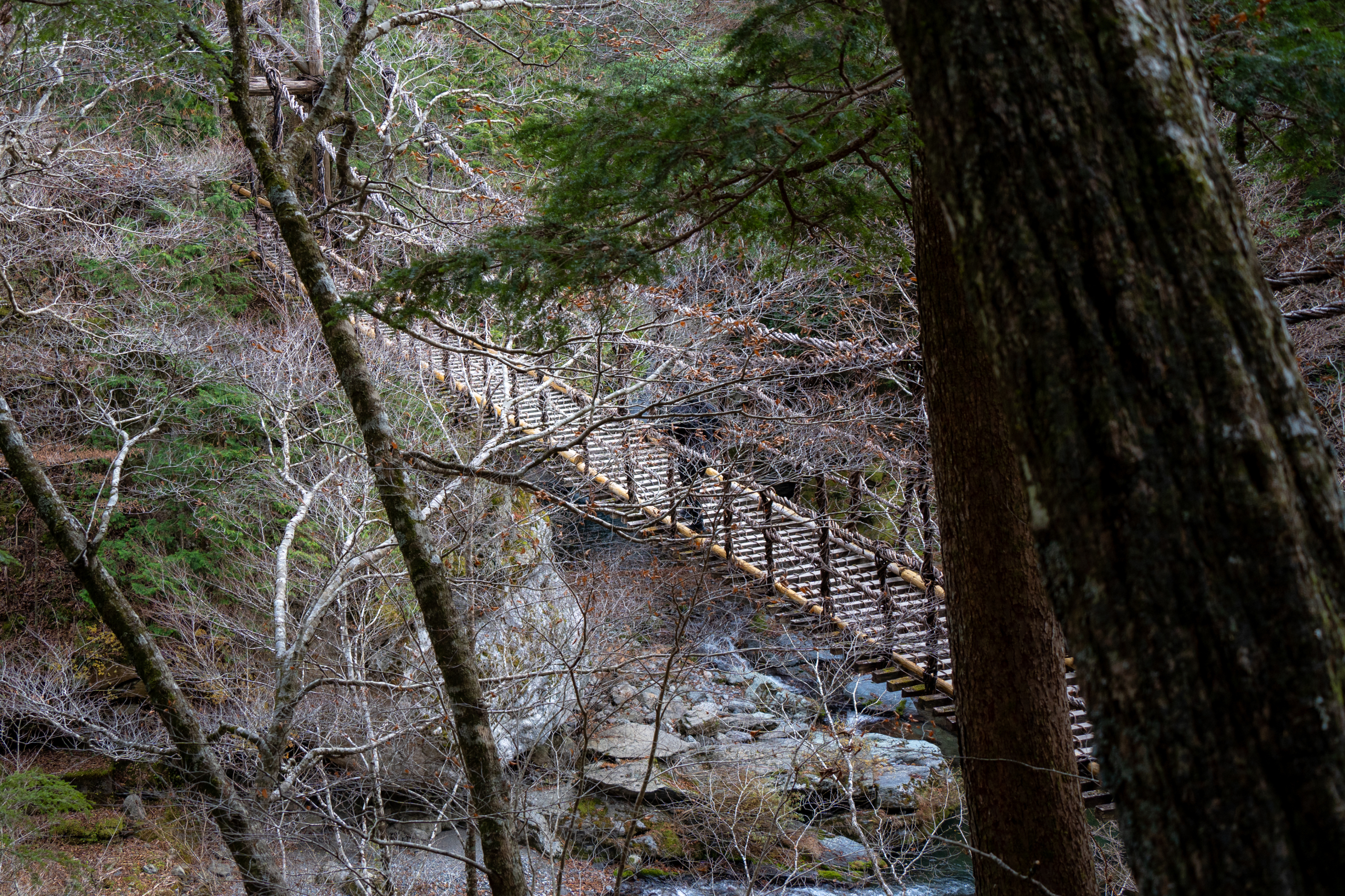 Oku-Iya Double Vine Bridges | Spots | Tokushima Tourism | Discover